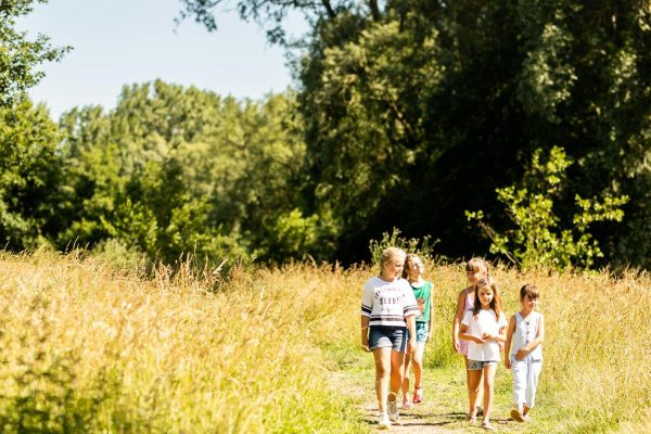 6b601933-3835-4292-9c9b-55b55246cd0f